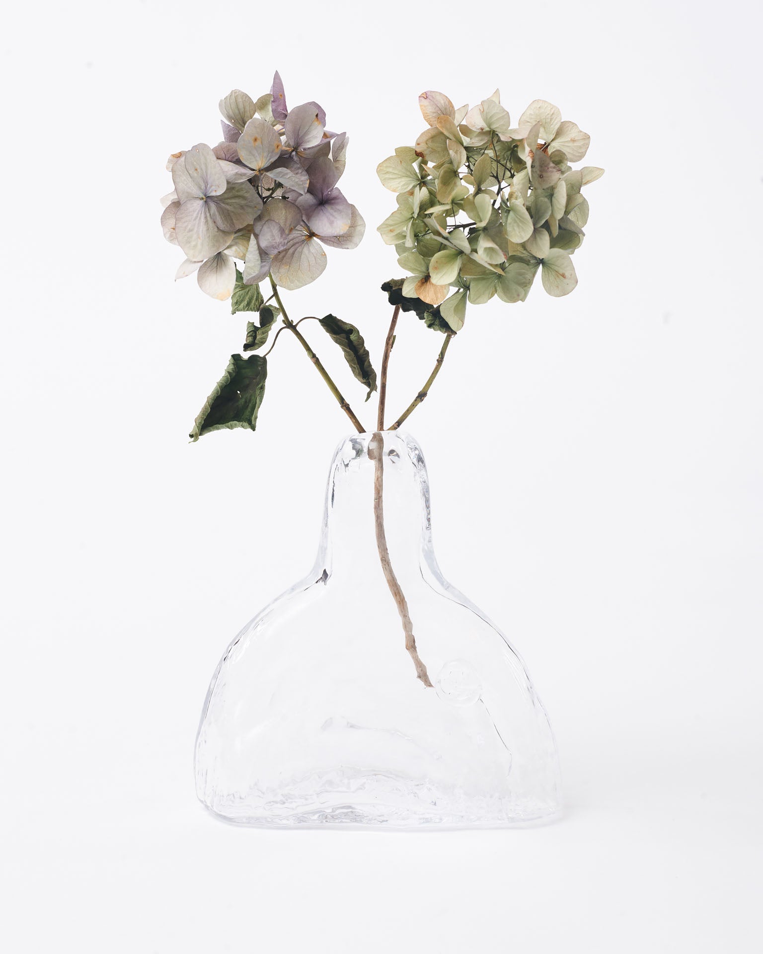 Modern big vase with hydrangea purple and green in white background