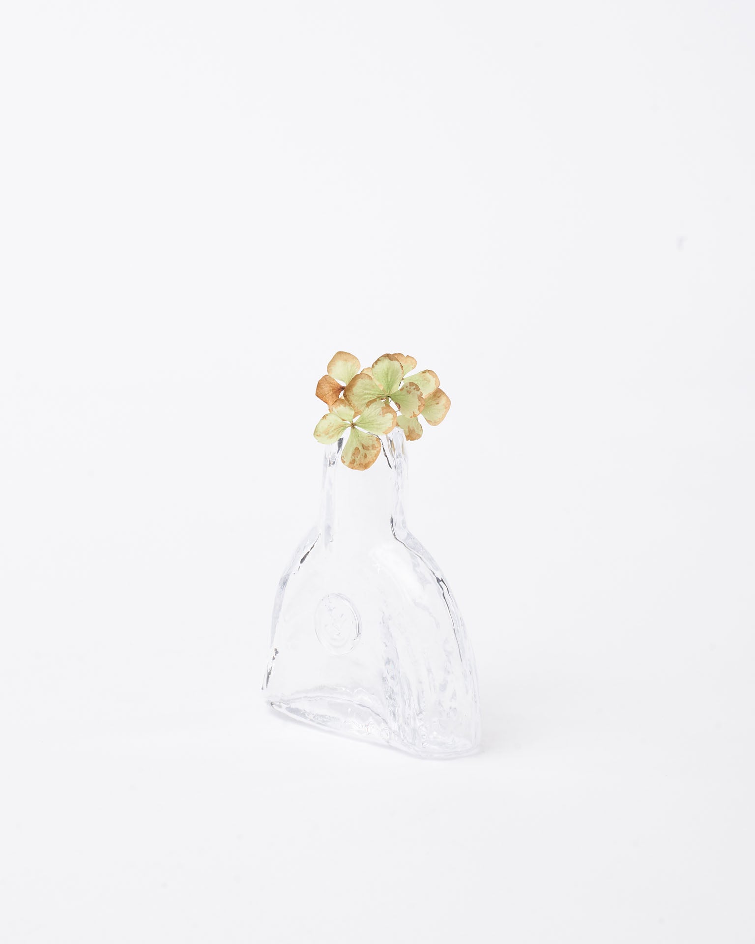 Modern small vase with hydrangea green in white background