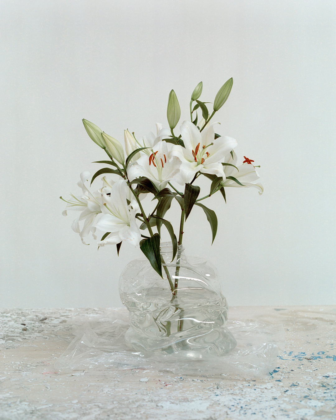 White background, transparent  handmade recycled plastic vase with white lilies